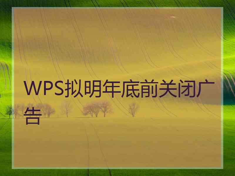 WPS拟明年底前关闭广告