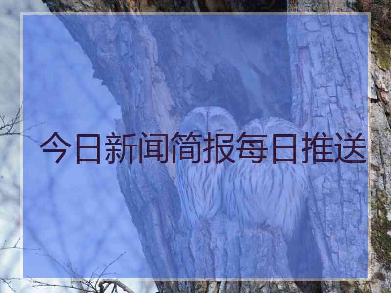 今日新闻简报每日推送