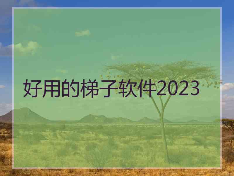 好用的梯子软件2023