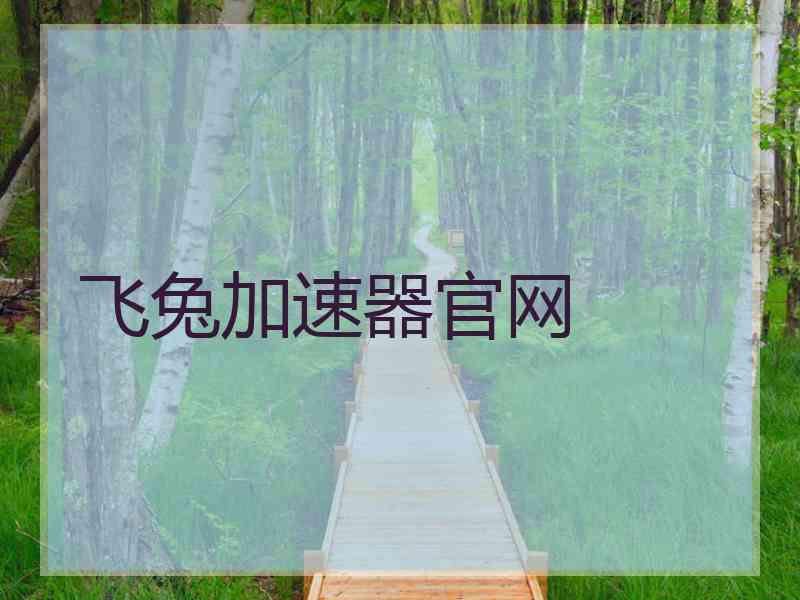 飞兔加速器官网