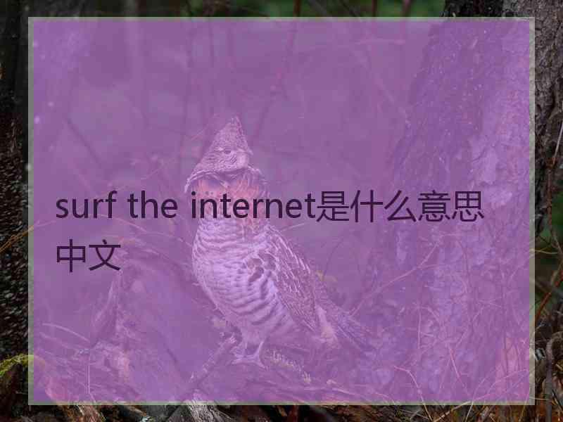 surf the internet是什么意思中文