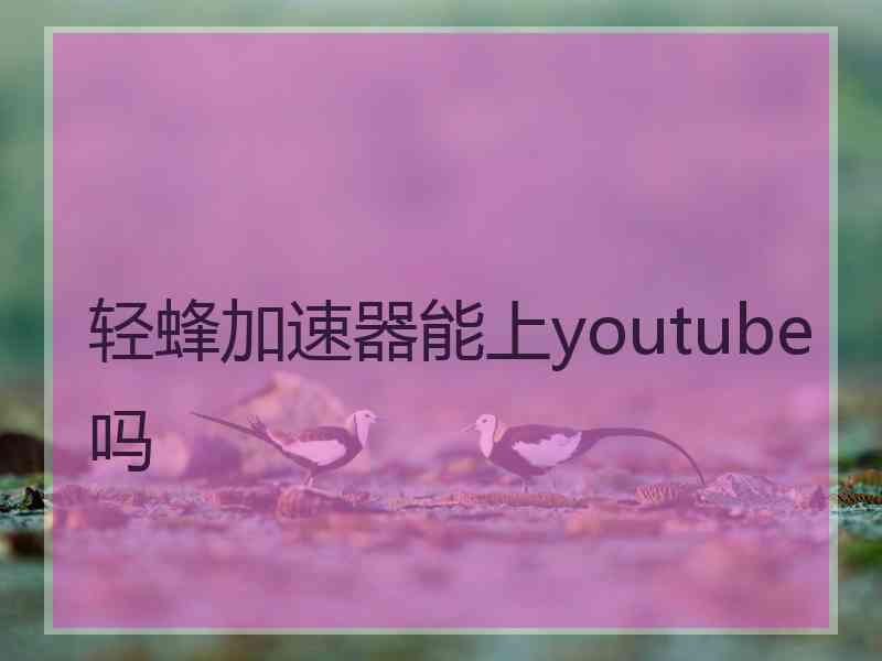 轻蜂加速器能上youtube吗