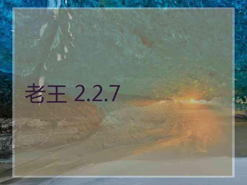 老王 2.2.7