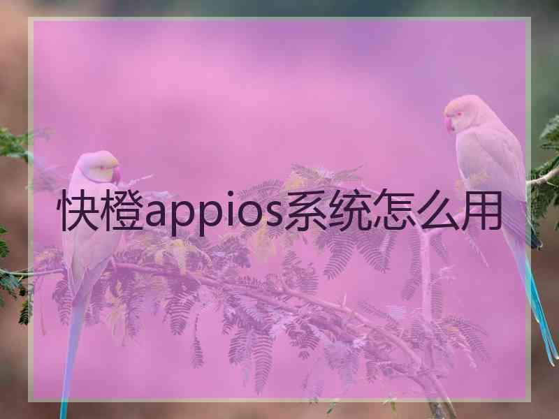 快橙appios系统怎么用