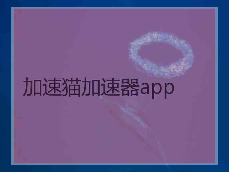 加速猫加速器app