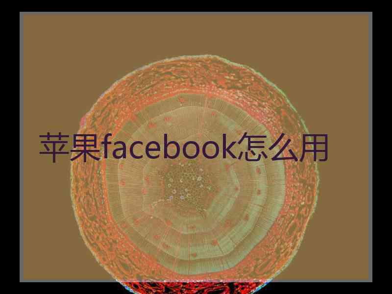 苹果facebook怎么用