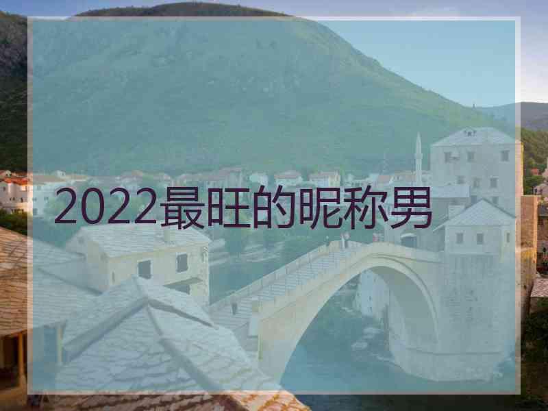 2022最旺的昵称男