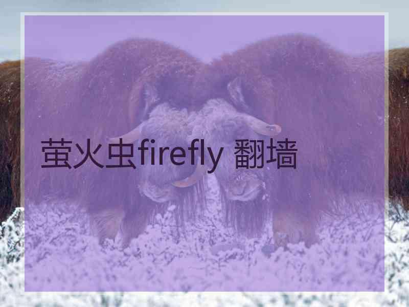 萤火虫firefly 翻墙