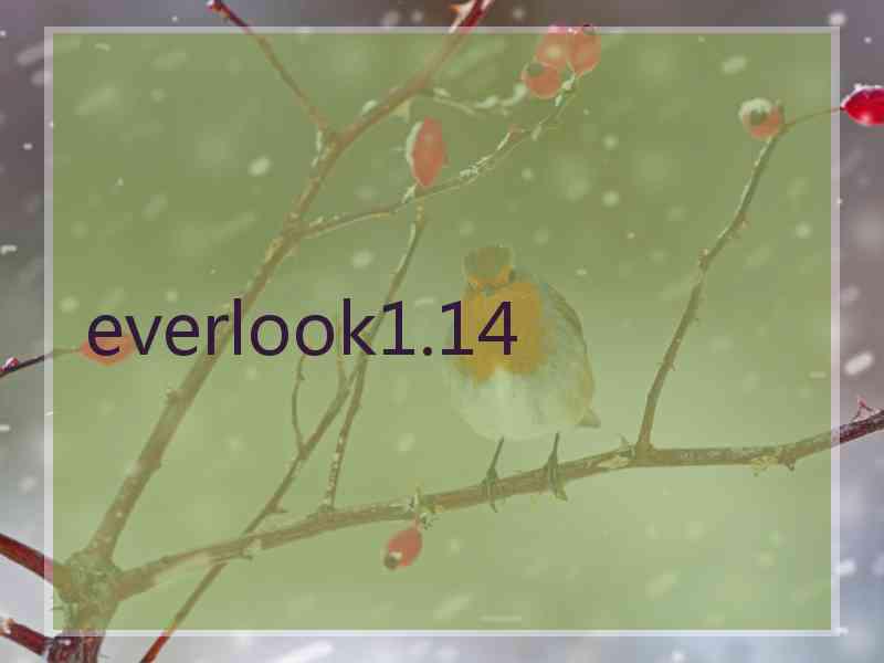 everlook1.14