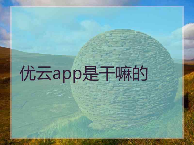 优云app是干嘛的