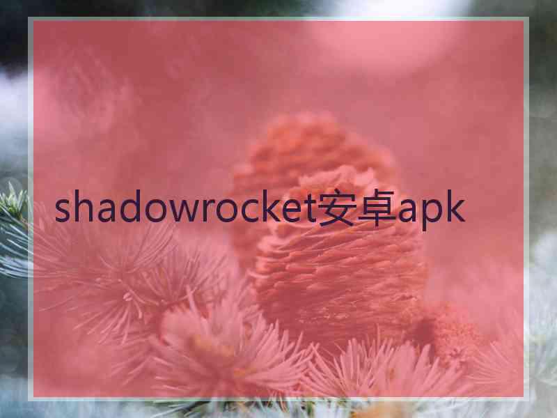 shadowrocket安卓apk