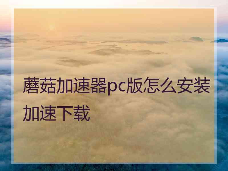 蘑菇加速器pc版怎么安装加速下载