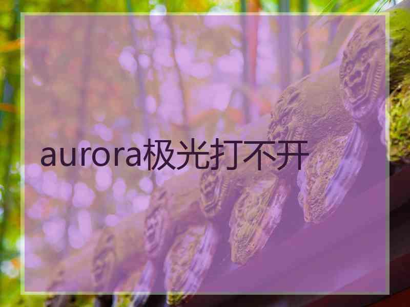 aurora极光打不开