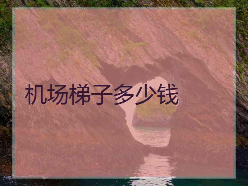 机场梯子多少钱