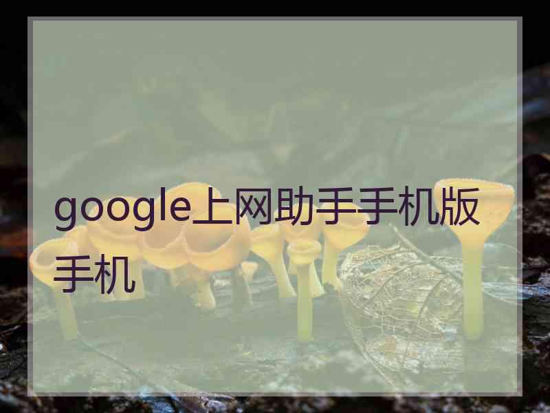 google上网助手手机版手机