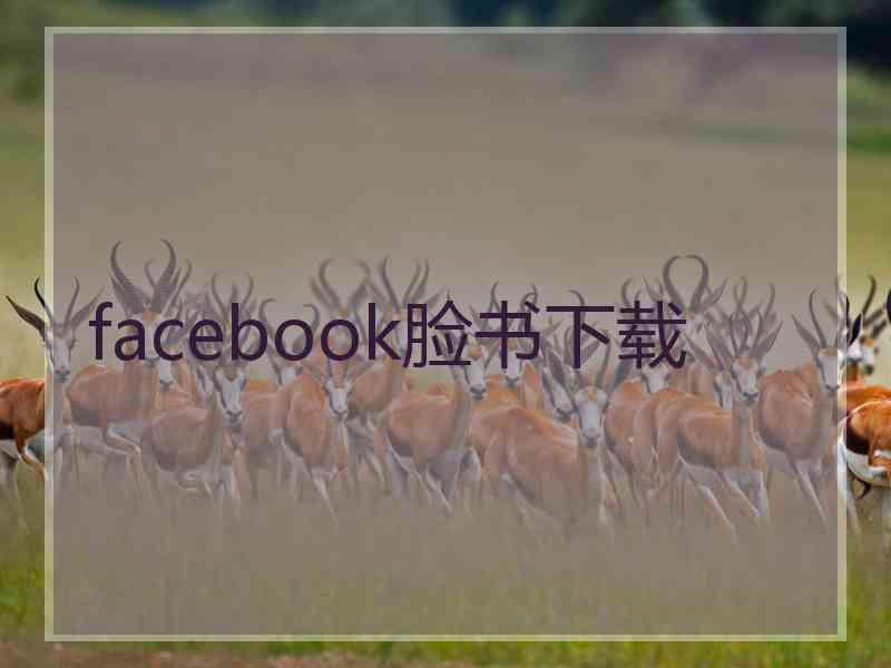 facebook脸书下载