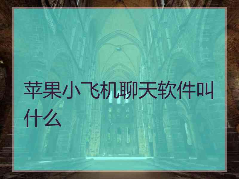 苹果小飞机聊天软件叫什么