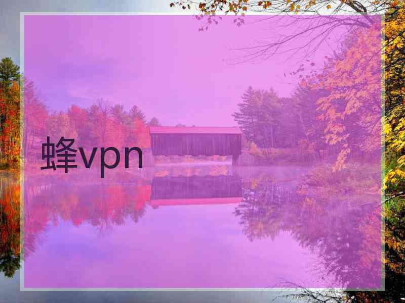 蜂vpn