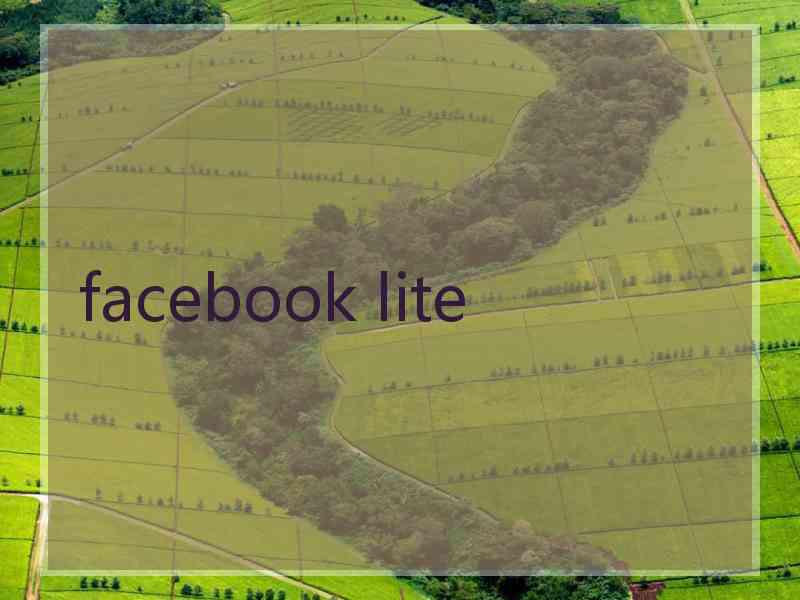 facebook lite