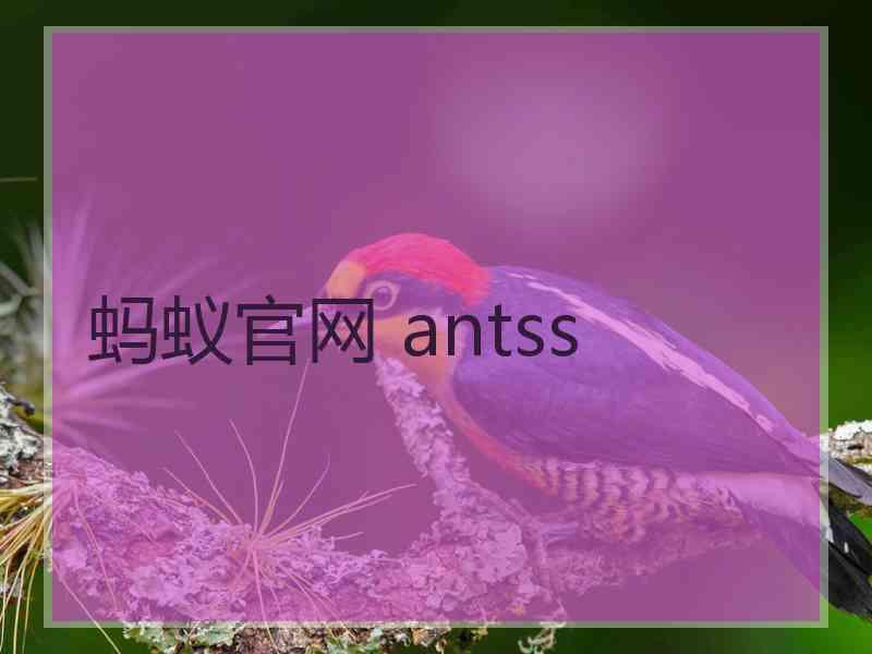 蚂蚁官网 antss