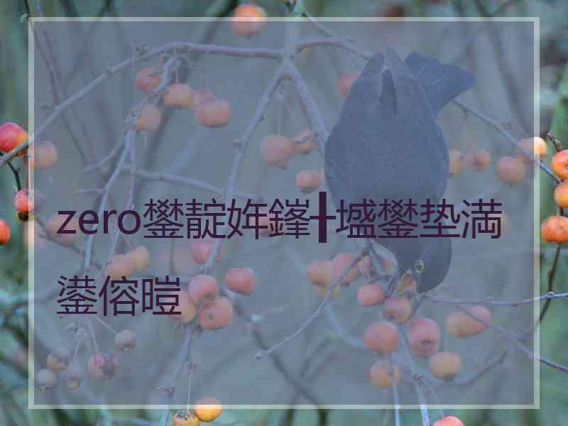 zero鐢靛姩鎽╂墭鐢垫満鍙傛暟