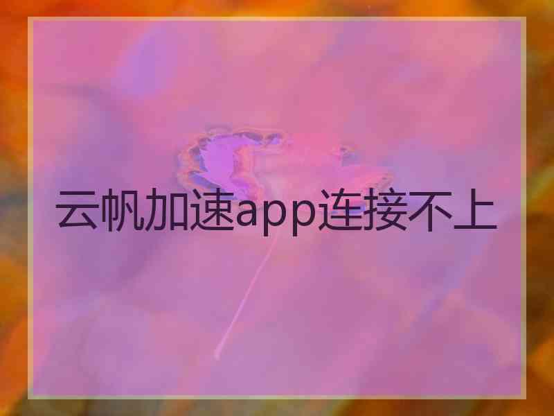 云帆加速app连接不上