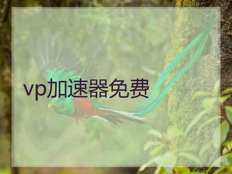 vp加速器免费