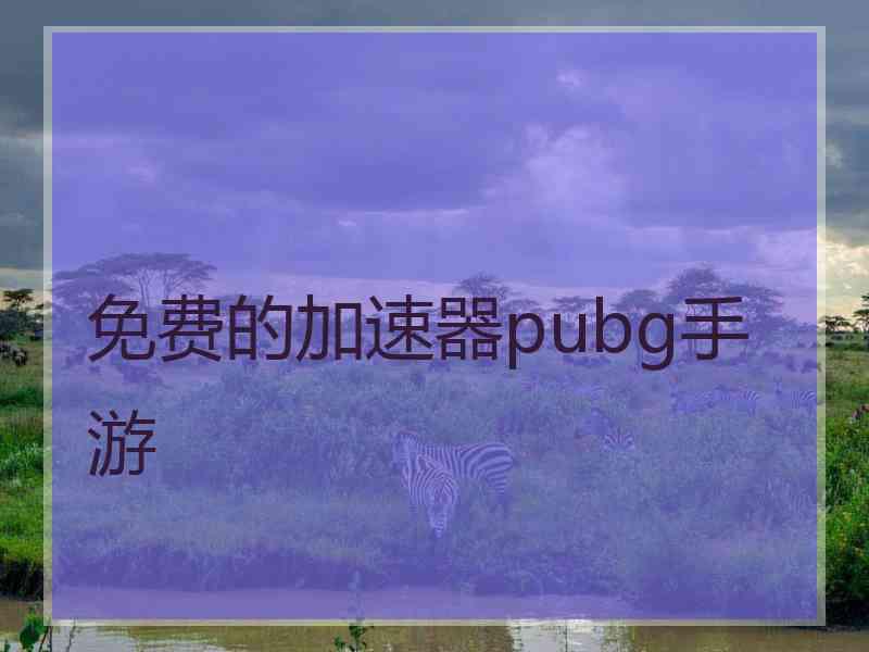 免费的加速器pubg手游