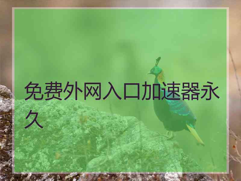 免费外网入口加速器永久