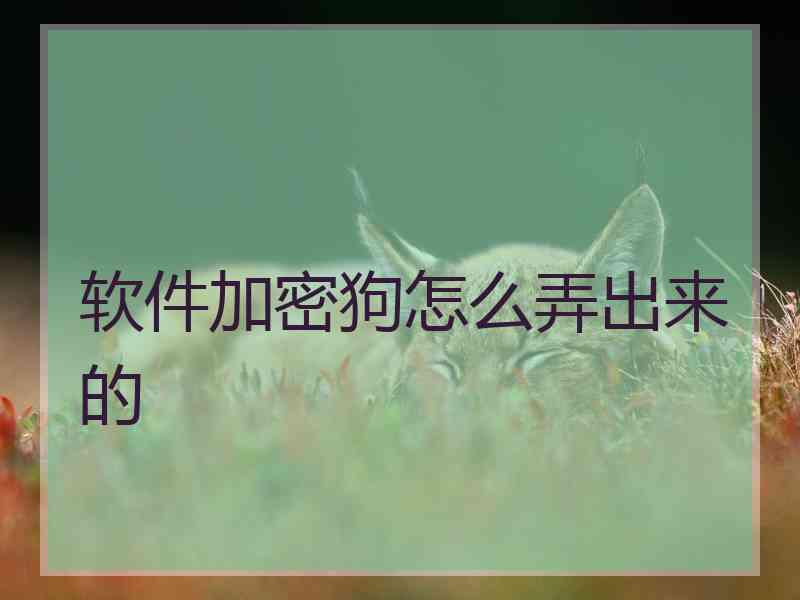 软件加密狗怎么弄出来的