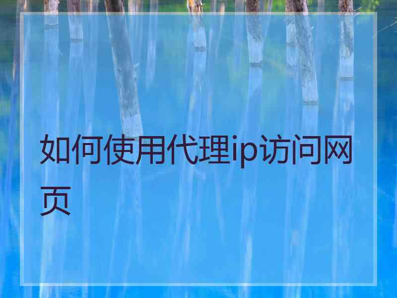 如何使用代理ip访问网页