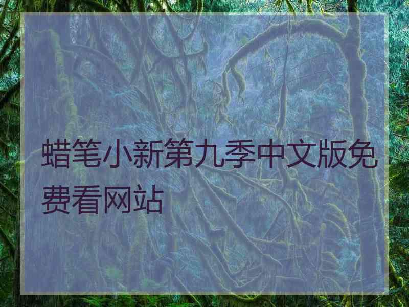 蜡笔小新第九季中文版免费看网站