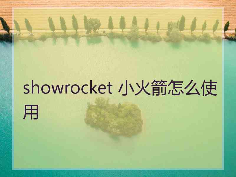 showrocket 小火箭怎么使用