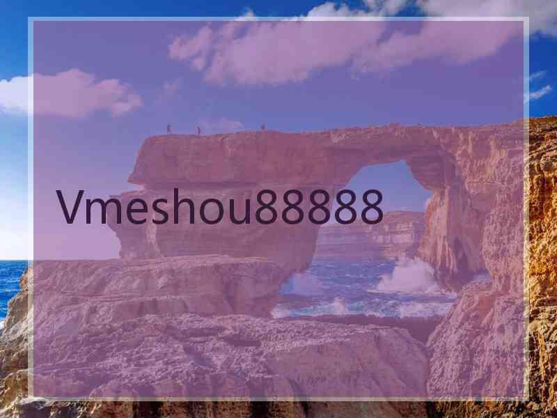 Vmeshou88888