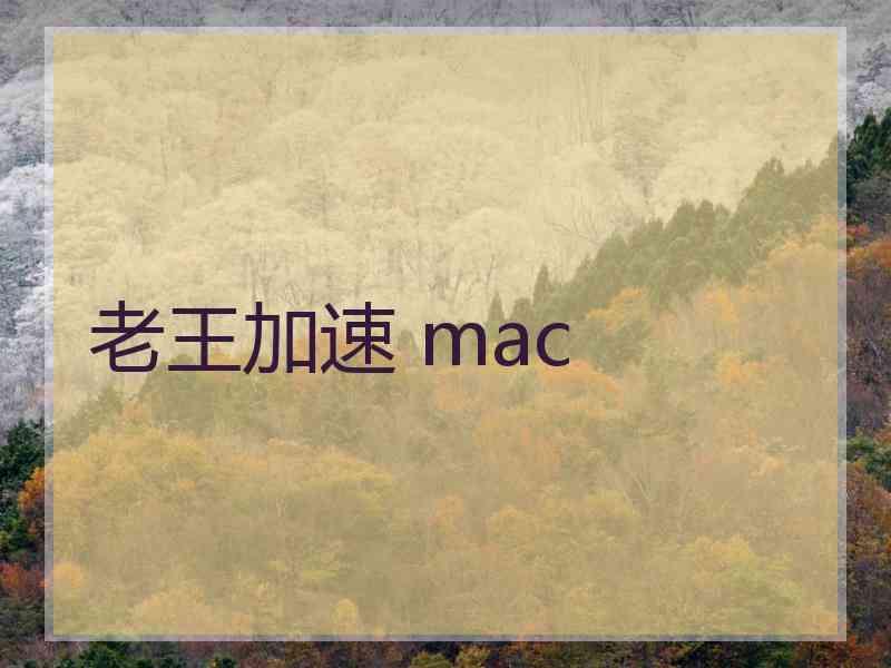 老王加速 mac