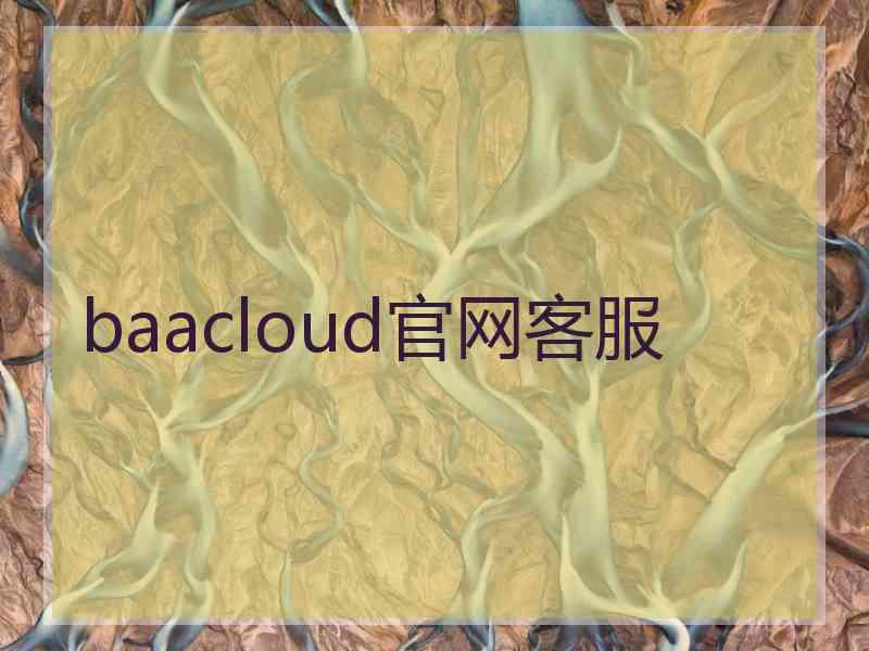 baacloud官网客服