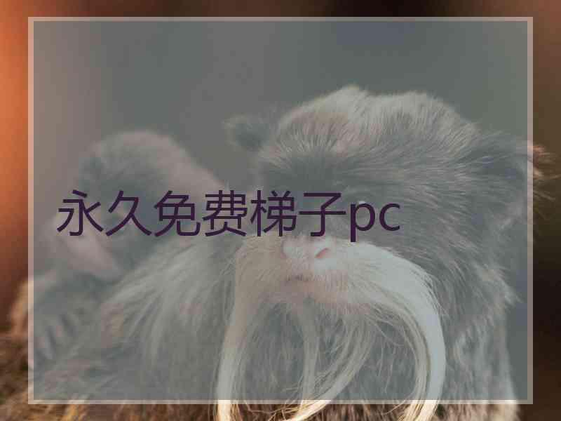 永久免费梯子pc