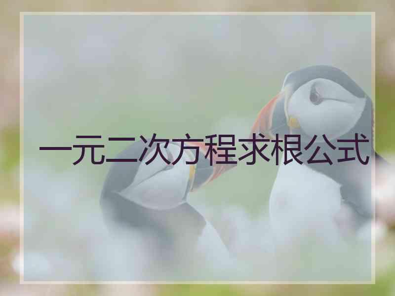 一元二次方程求根公式