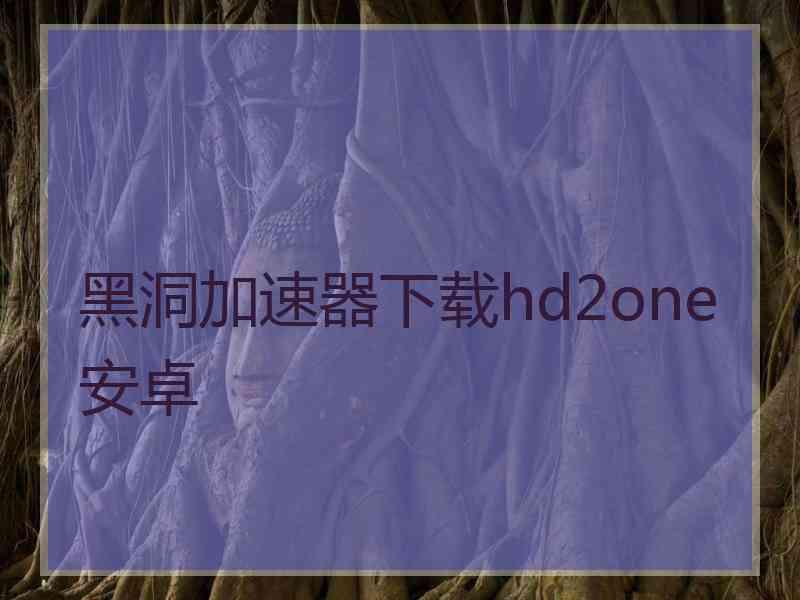 黑洞加速器下载hd2one安卓