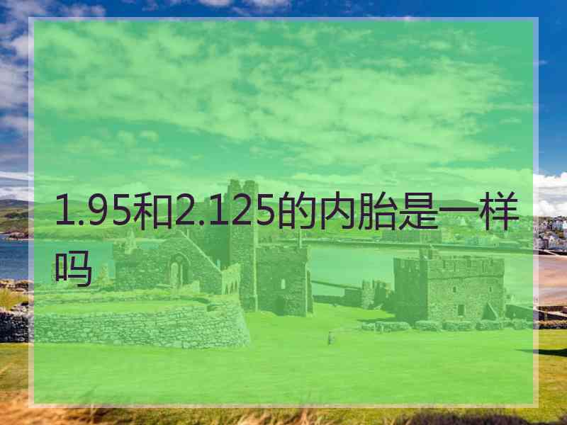 1.95和2.125的内胎是一样吗