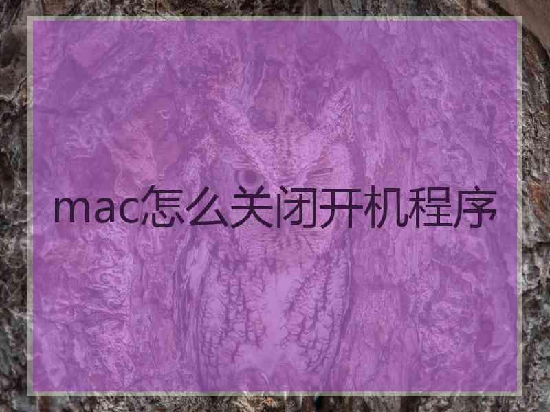 mac怎么关闭开机程序