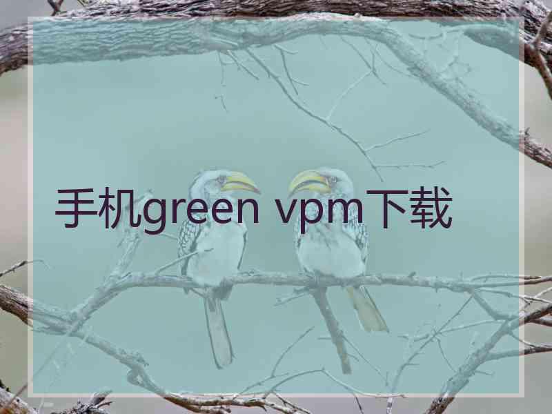 手机green vpm下载