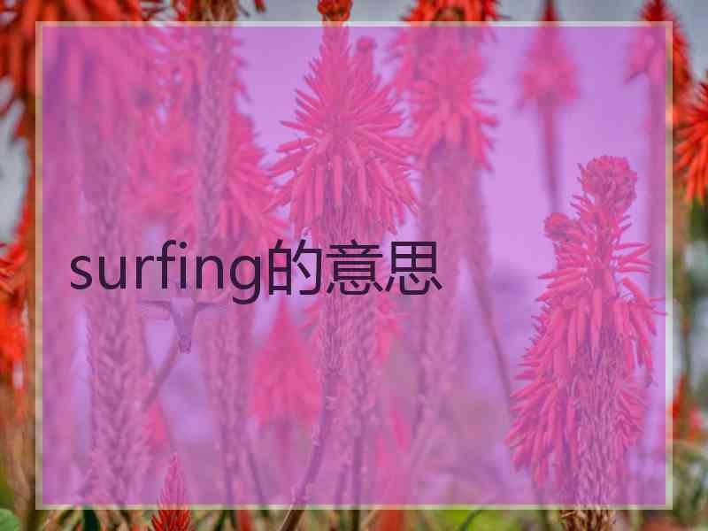 surfing的意思