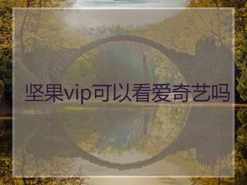 坚果vip可以看爱奇艺吗