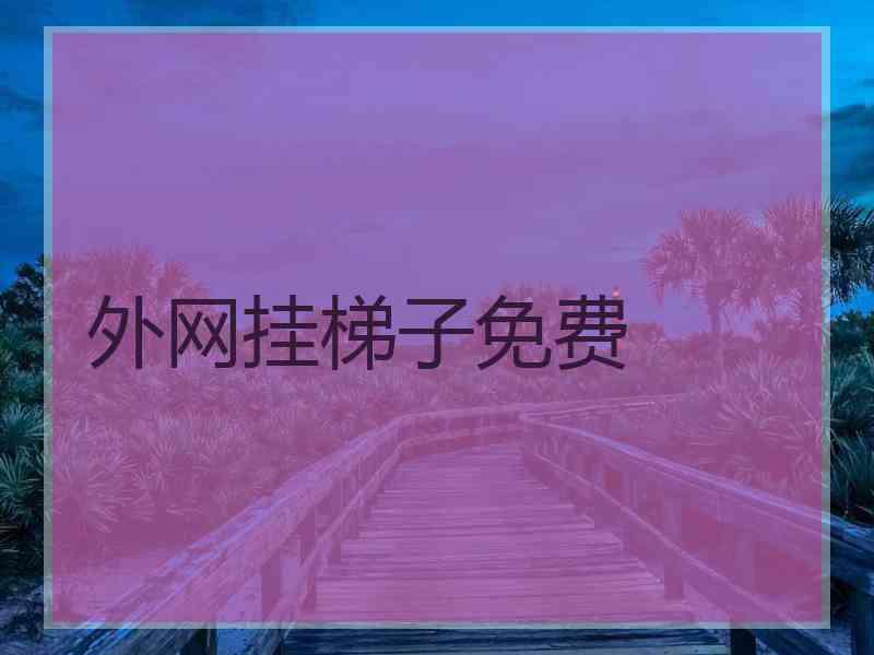 外网挂梯子免费