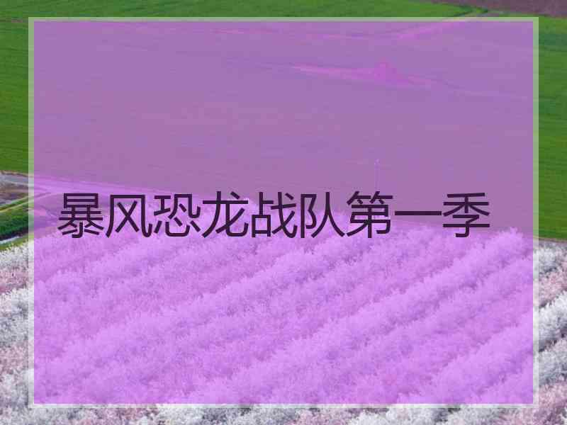 暴风恐龙战队第一季