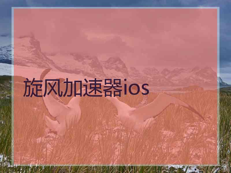 旋风加速器ios