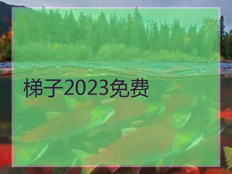 梯子2023免费