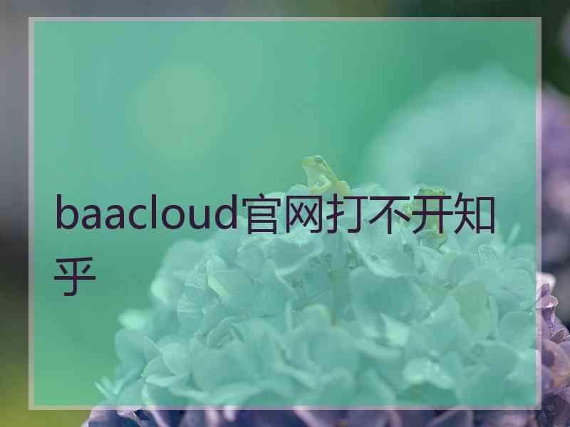 baacloud官网打不开知乎