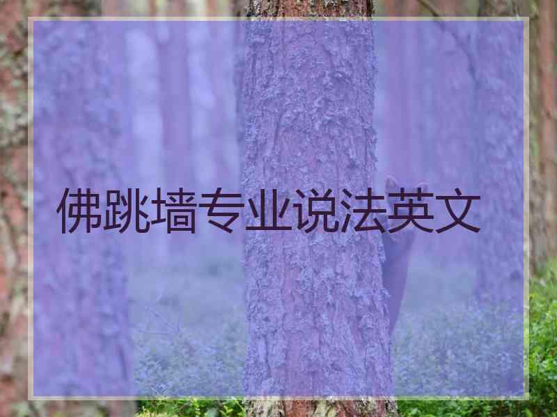 佛跳墙专业说法英文